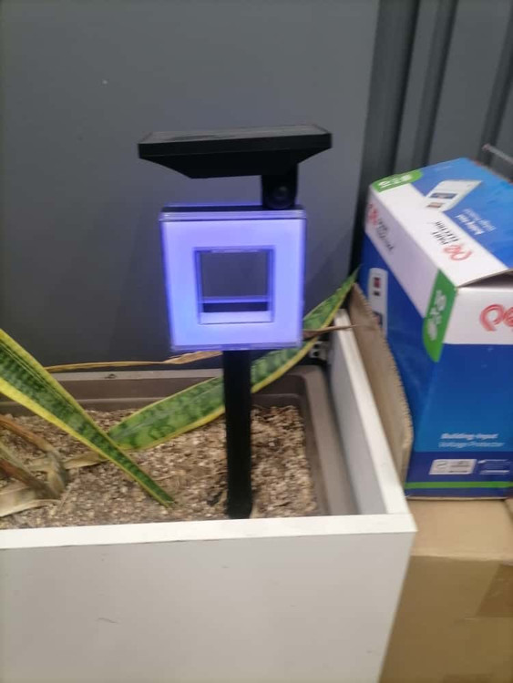 چراغ سولار باغی